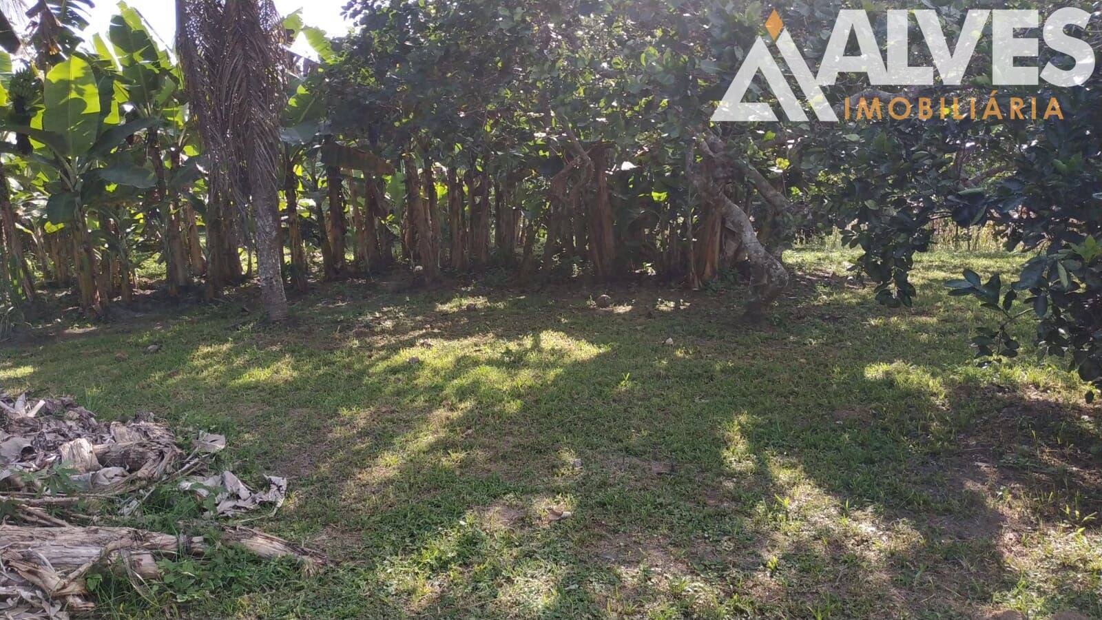 Sítio, 3 quartos, 12 hectares - Foto 26