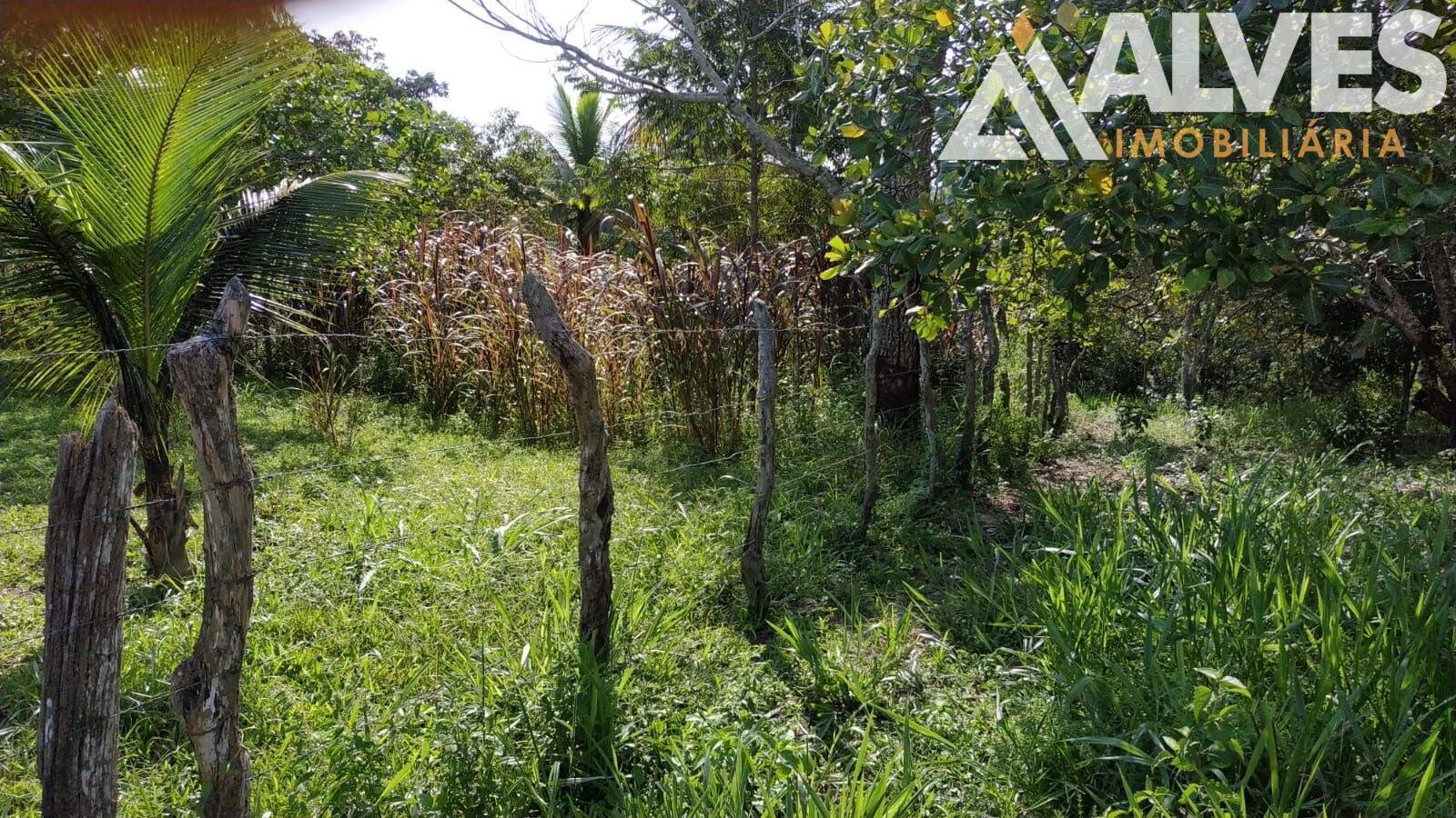 Sítio, 3 quartos, 12 hectares - Foto 27