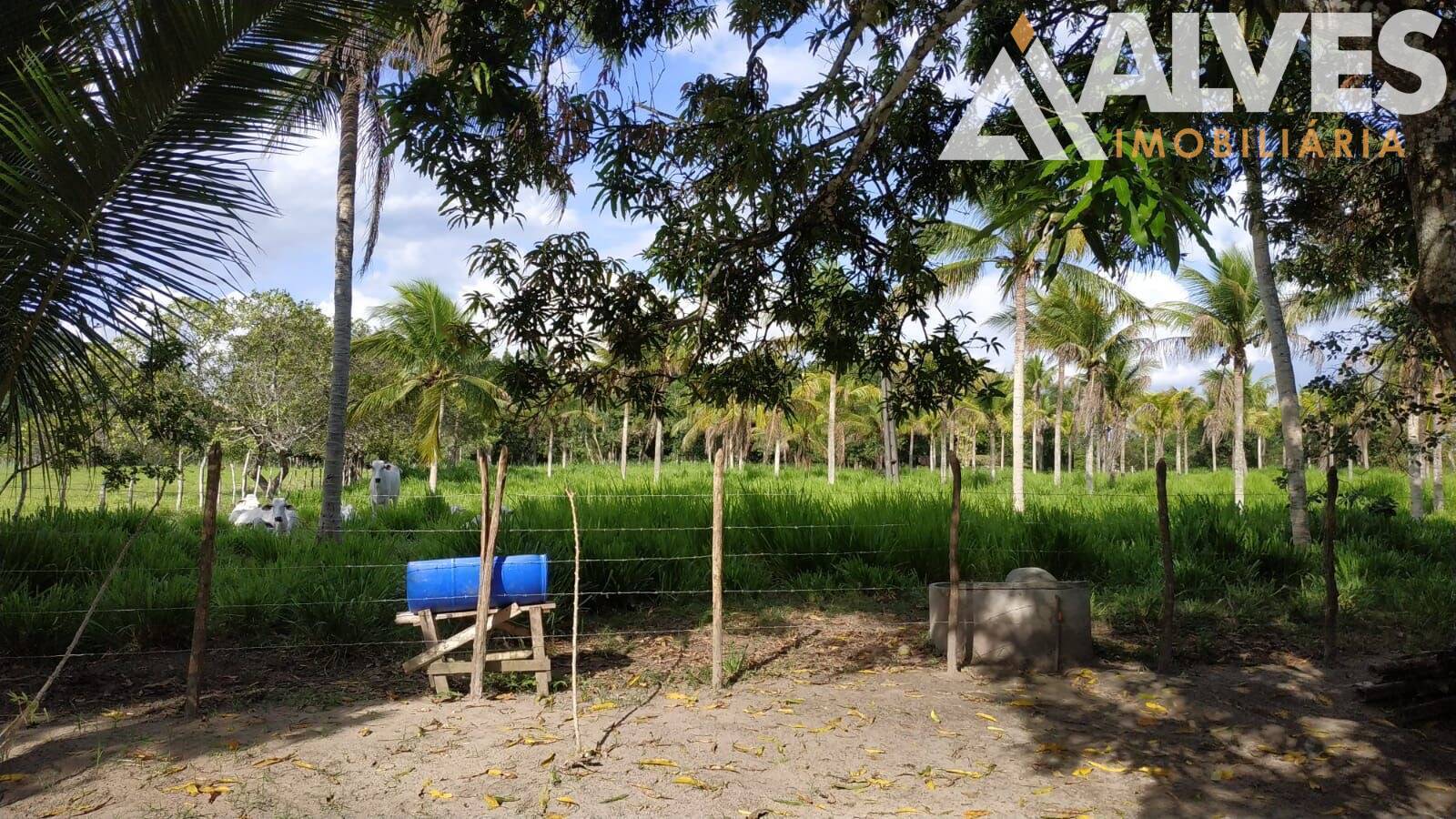 Sítio, 3 quartos, 12 hectares - Foto 28