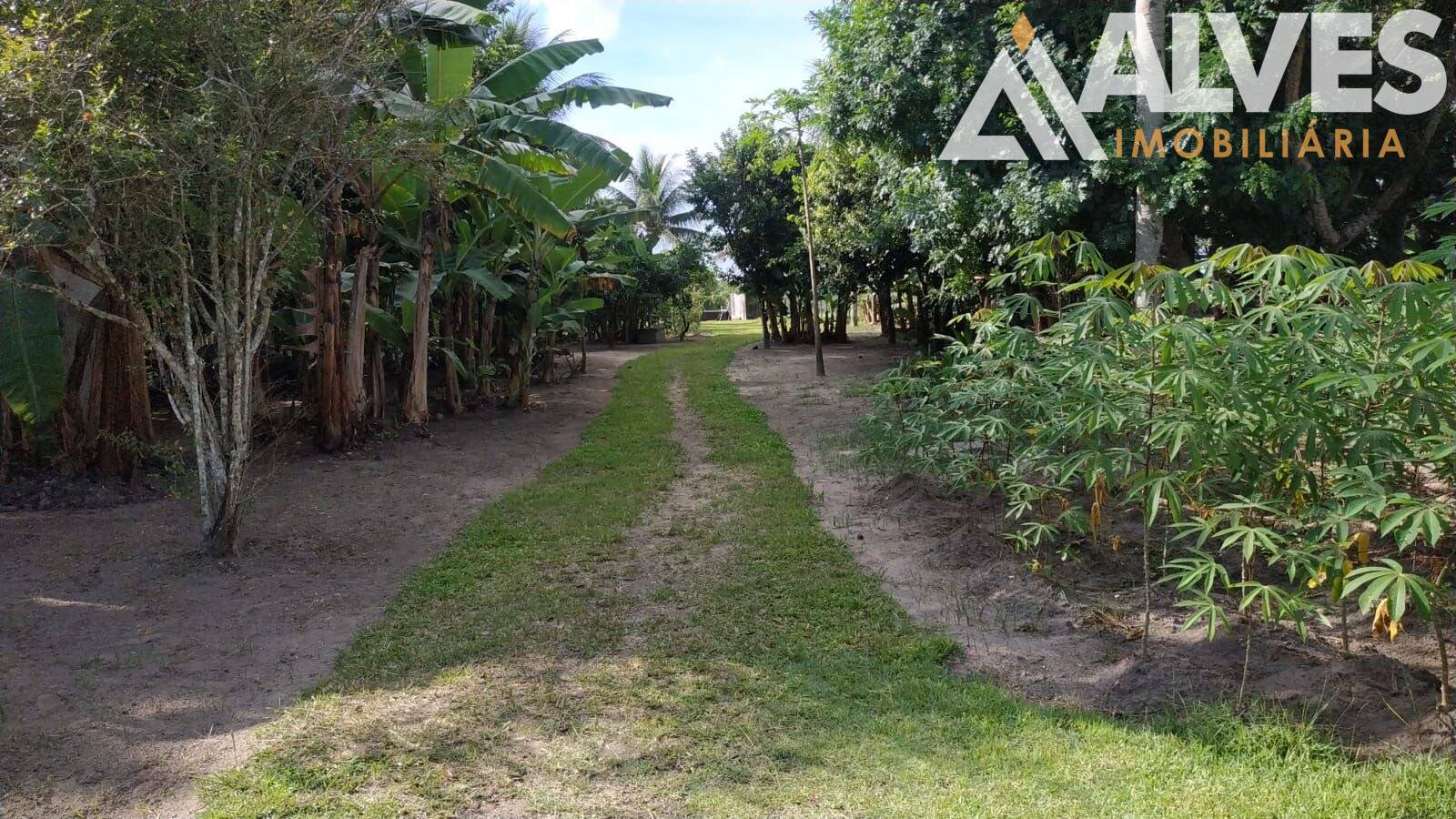 Sítio, 3 quartos, 12 hectares - Foto 30