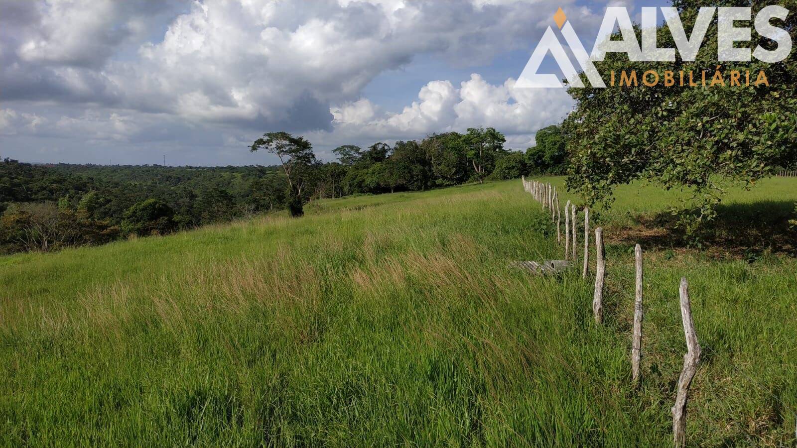 Sítio, 3 quartos, 12 hectares - Foto 29