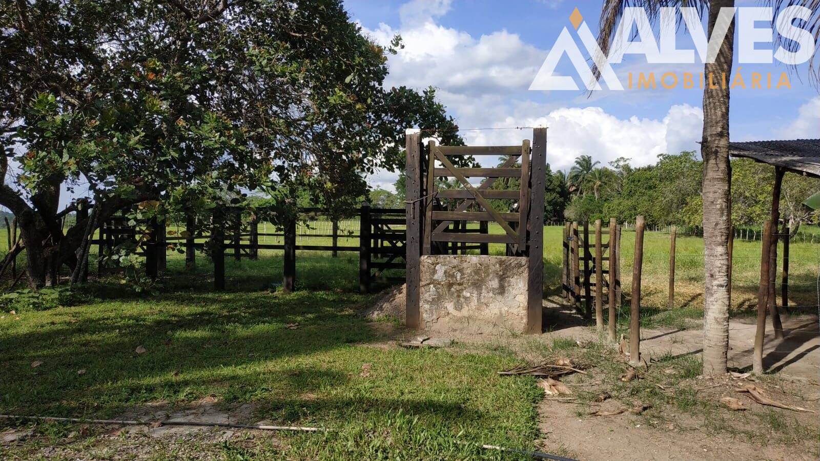 Sítio, 3 quartos, 12 hectares - Foto 31