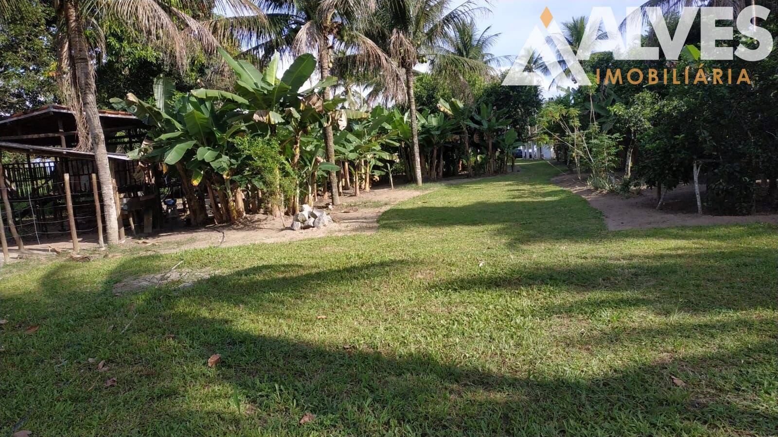 Sítio, 3 quartos, 12 hectares - Foto 32