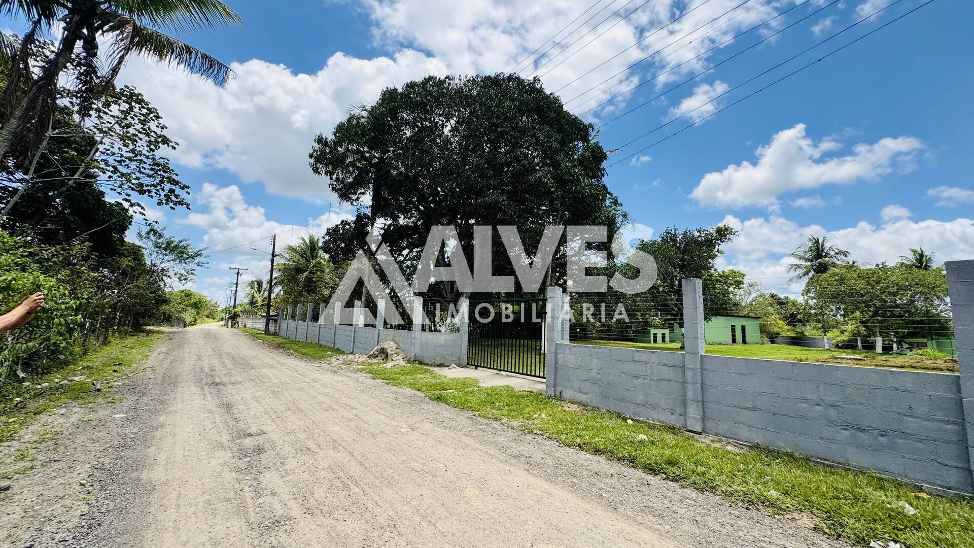 Sítio, 3 quartos, 4300 m² - Foto 3