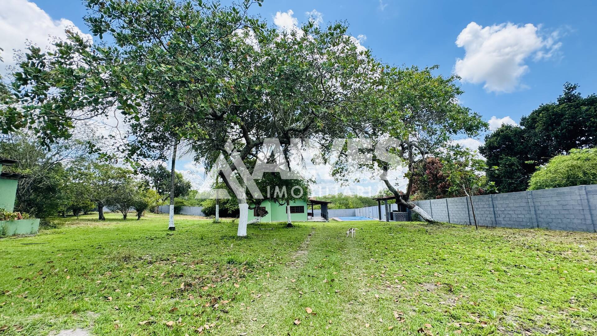 Sítio, 3 quartos, 4300 m² - Foto 5