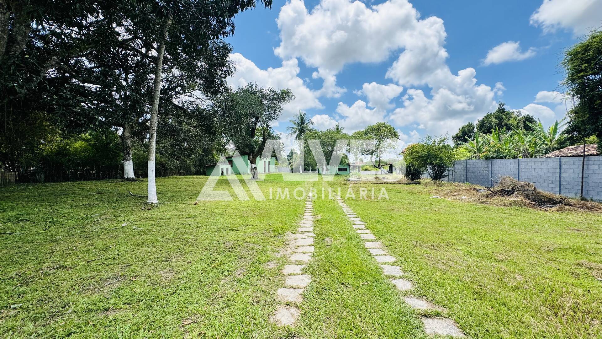 Sítio, 3 quartos, 4300 m² - Foto 4