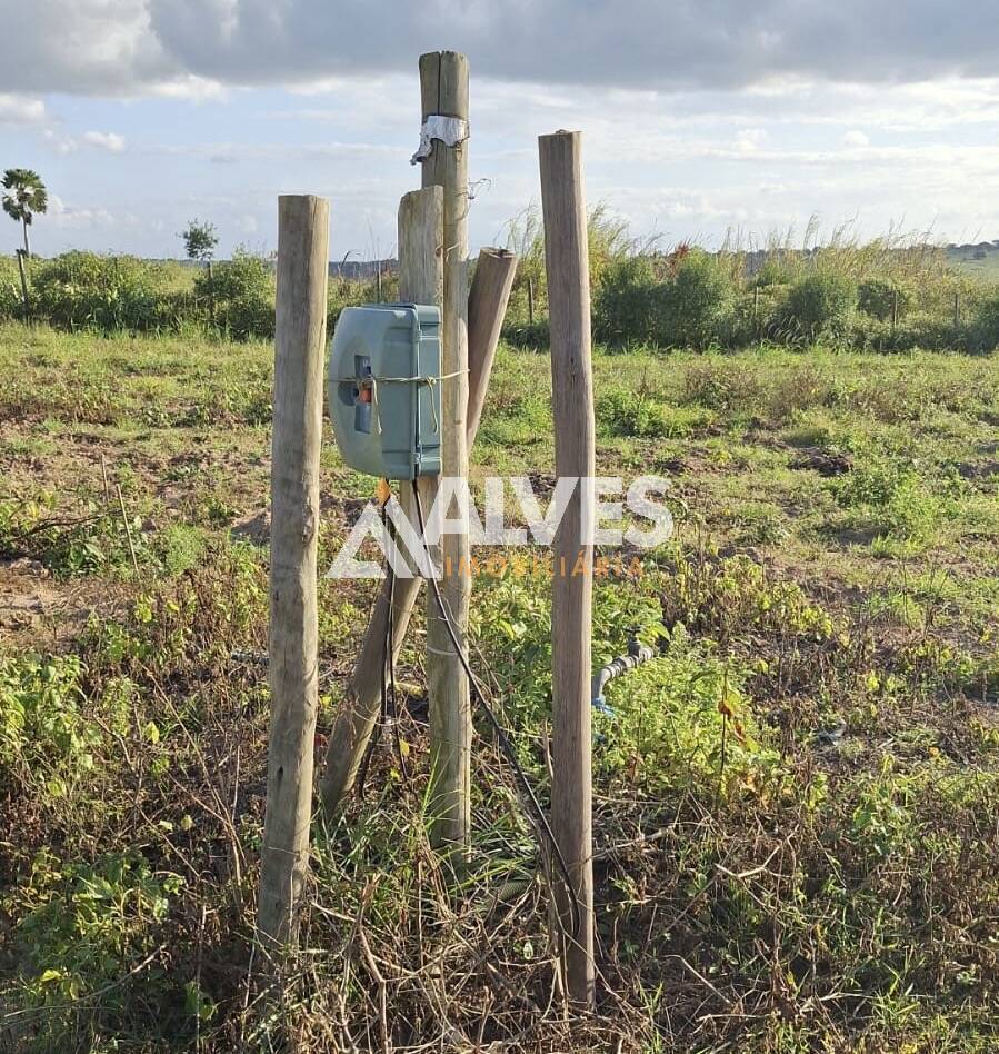 Sítio, 2 quartos, 3762 m² - Foto 20