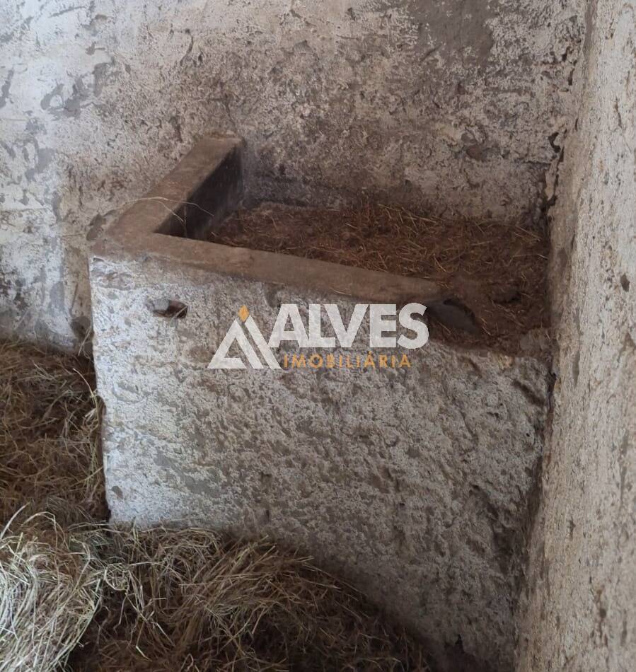 Sítio, 2 quartos, 3762 m² - Foto 21