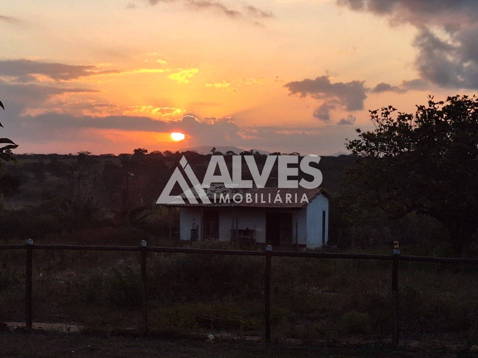 Sítio, 2 quartos, 3762 m² - Foto 3